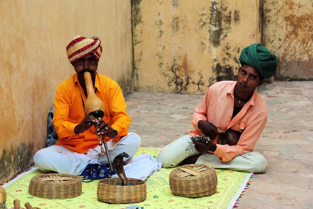 india, snake, music, snake charmer, jaipur, india, snake, snake, snake, snake, snake charmer, snake charmer, snake charmer, jaipur, jaipur, jaipur, jaipur, jaipur