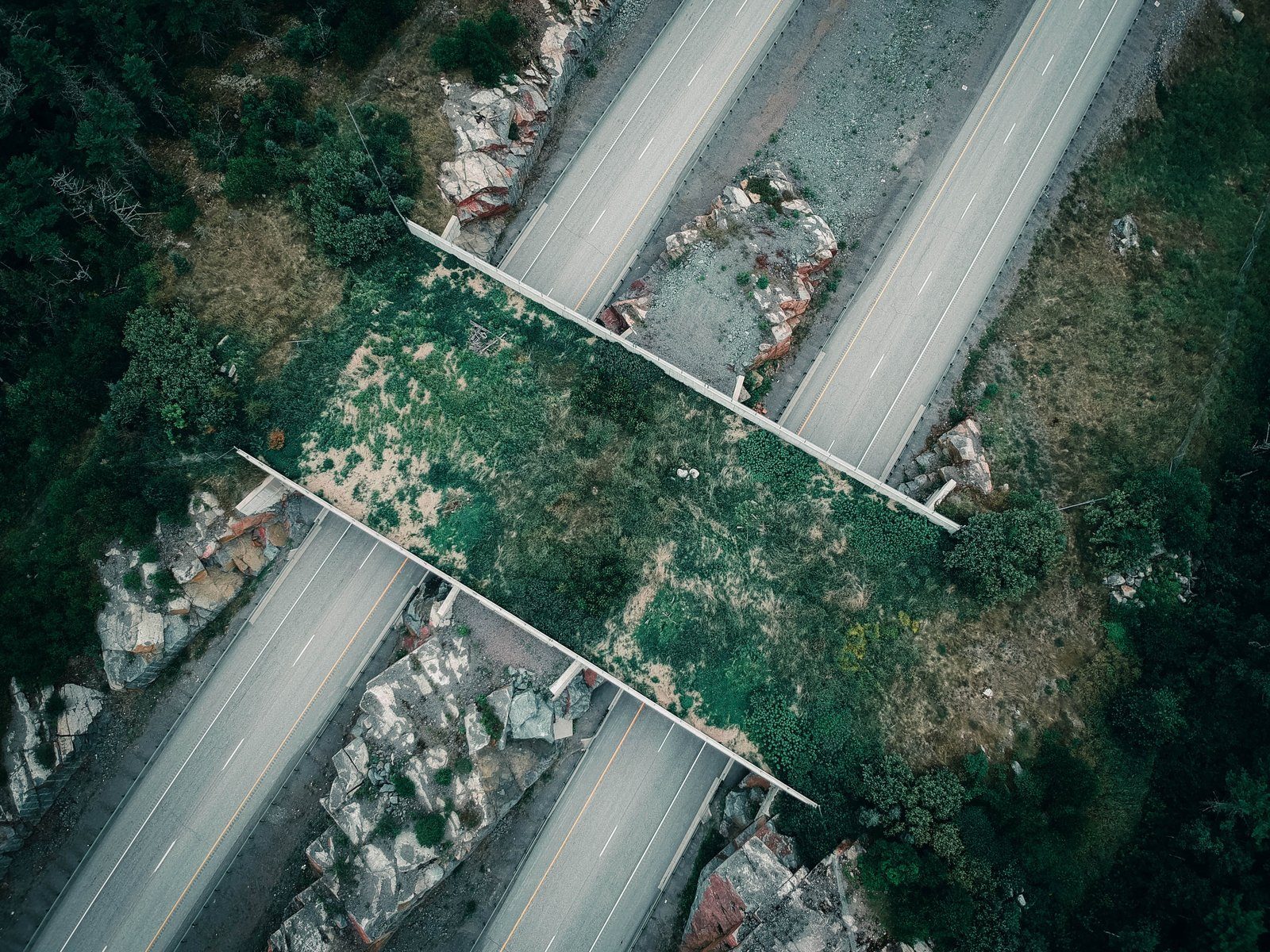 Aerial shot of an overgrown bridge crossing an empty countryside road.