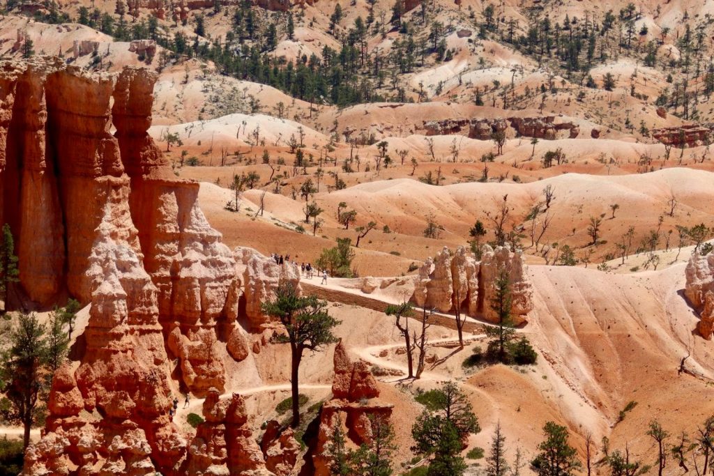 Explore the stunning hoodoos and unique rock formations of Bryce Canyon under a clear sky.