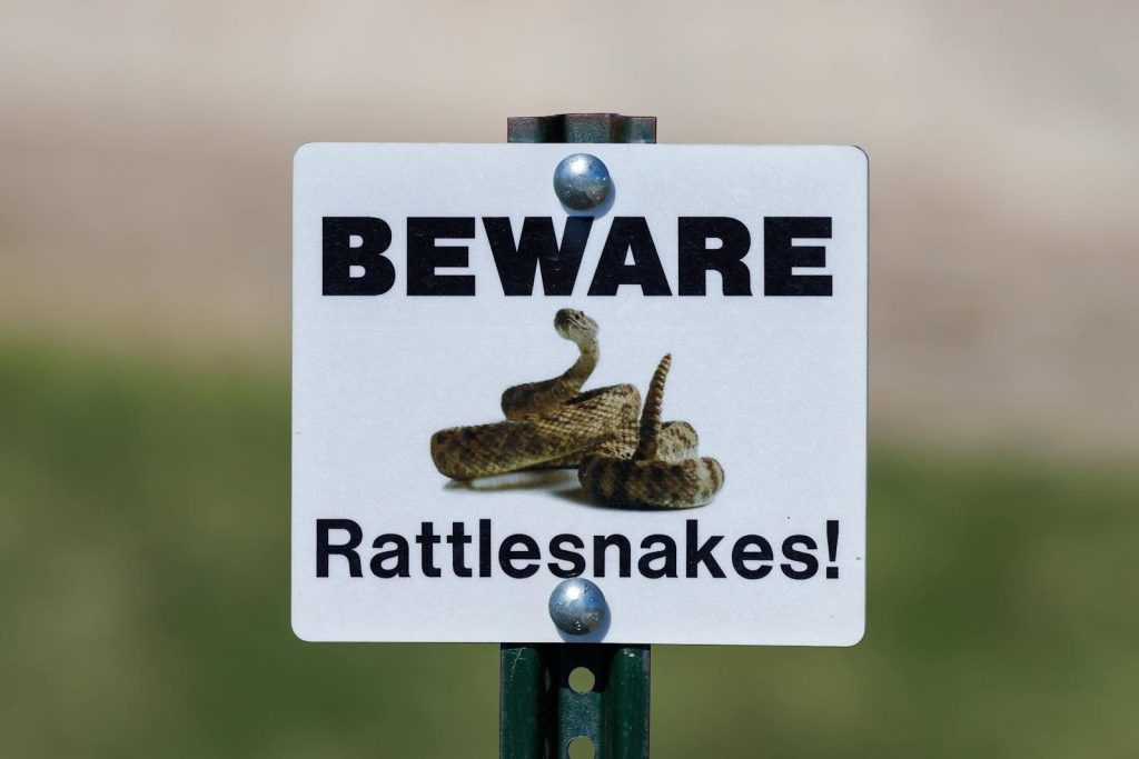 Beware of rattlesnakes sign posted in a grassy area, cautioning travelers.