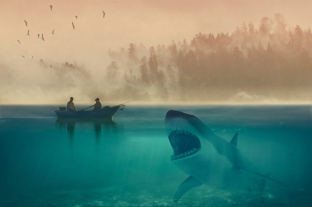 white shark, sharks, fishing, marine, attack, whale, sea, fishermen, large, nature, giant shark