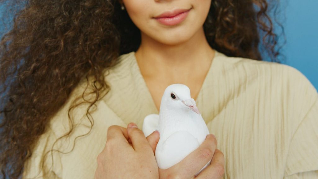 Close-up of a woman holding a white dove, symbolizing peace and love.