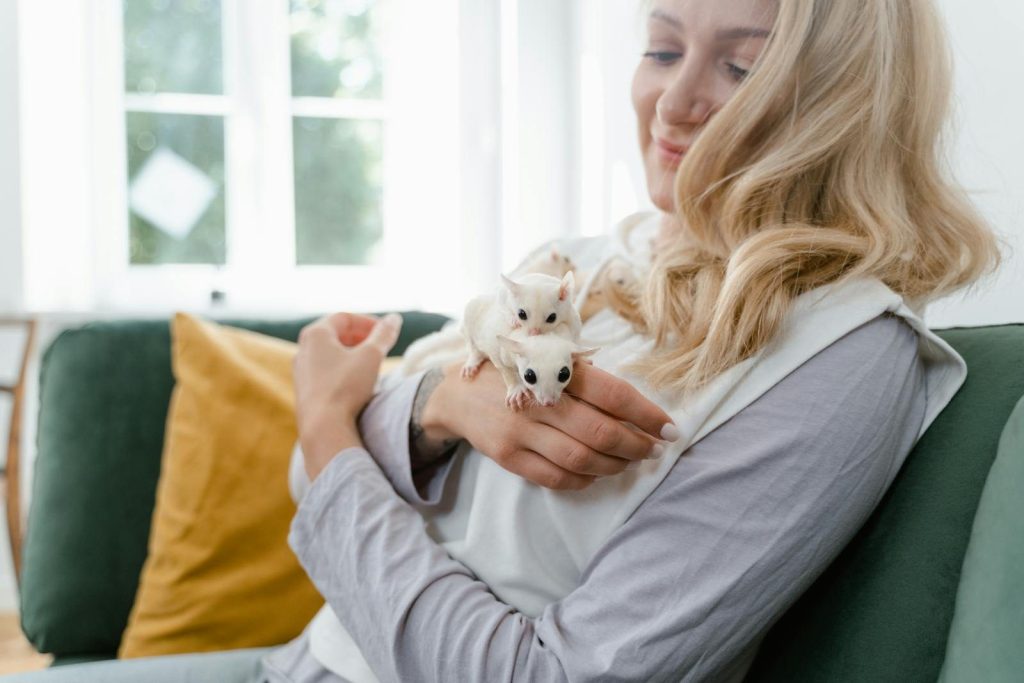 Woman holding sugar gliders on the sofa indoors.