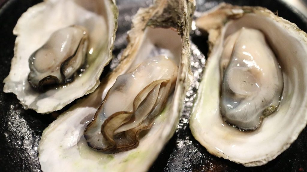 oyster, oysters, shell, mussel, dried scallops, seafood, barbecue, oyster, oyster, oyster, oyster, oyster, oysters, oysters, oysters, seafood
