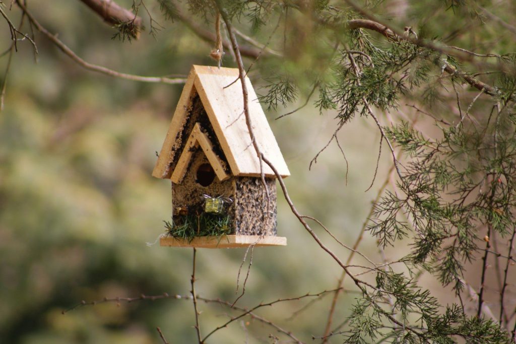 a bird house hanging from a tree branch