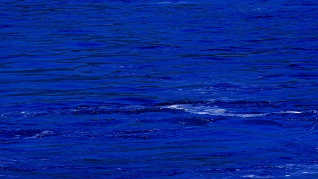 Deep blue water with gentle waves