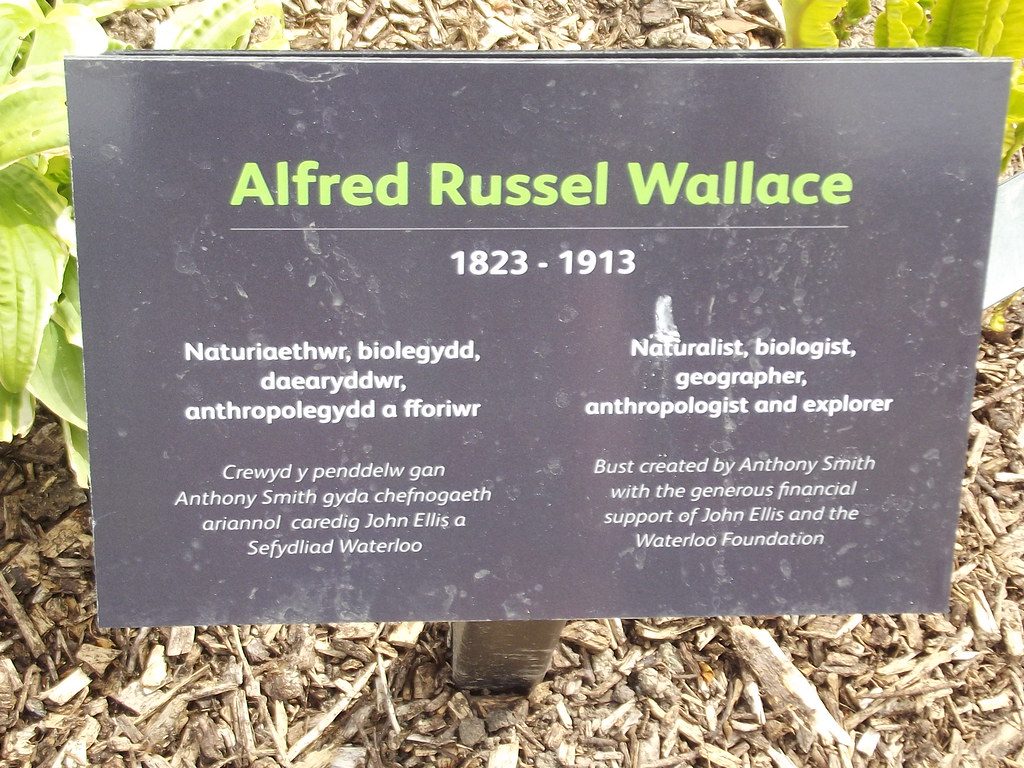 Alfred Russel Wallace