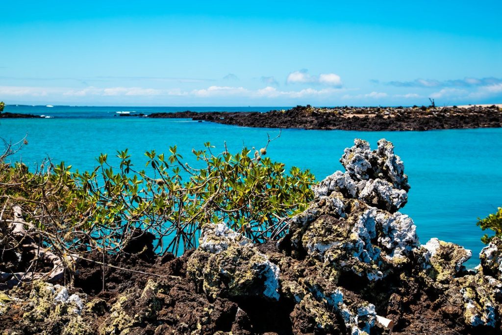 Beautiful turquoise water and rocky shorelines.
