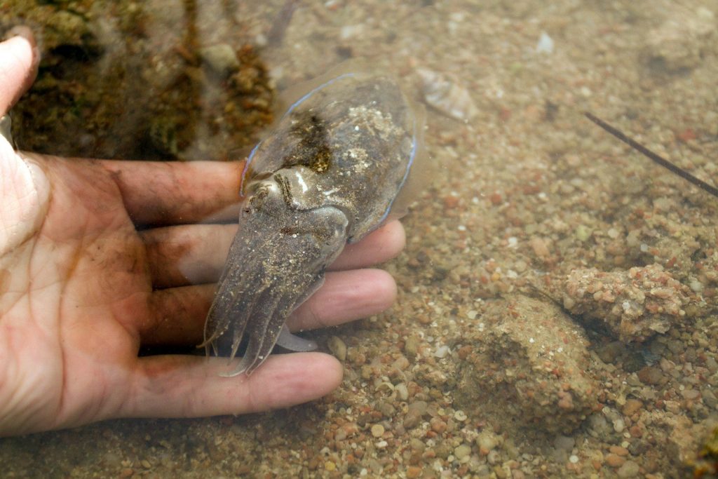 a person holding an object in their hand