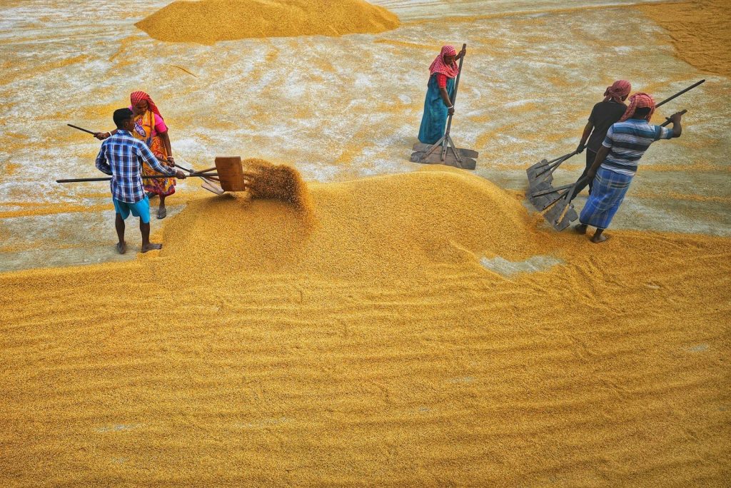 a group of people standing around a pile of sand