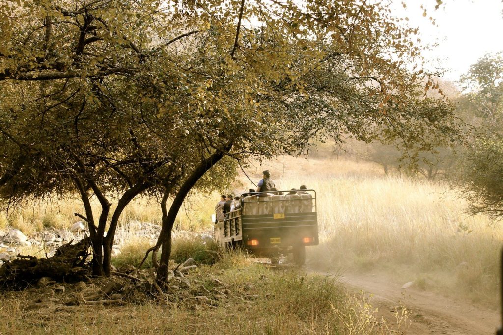 A truck driving down a dirt road next to trees