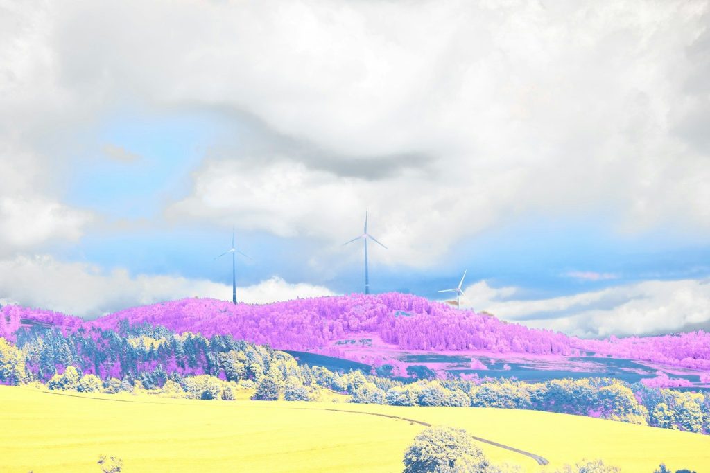 a field of yellow flowers with wind mills in the background
