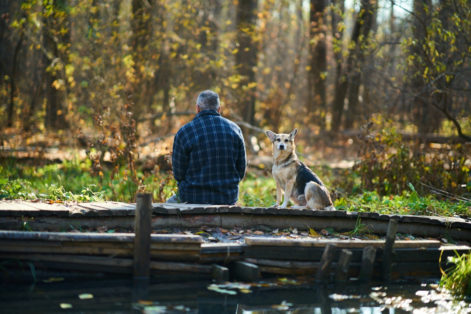 a person and a dog sitting on a dock