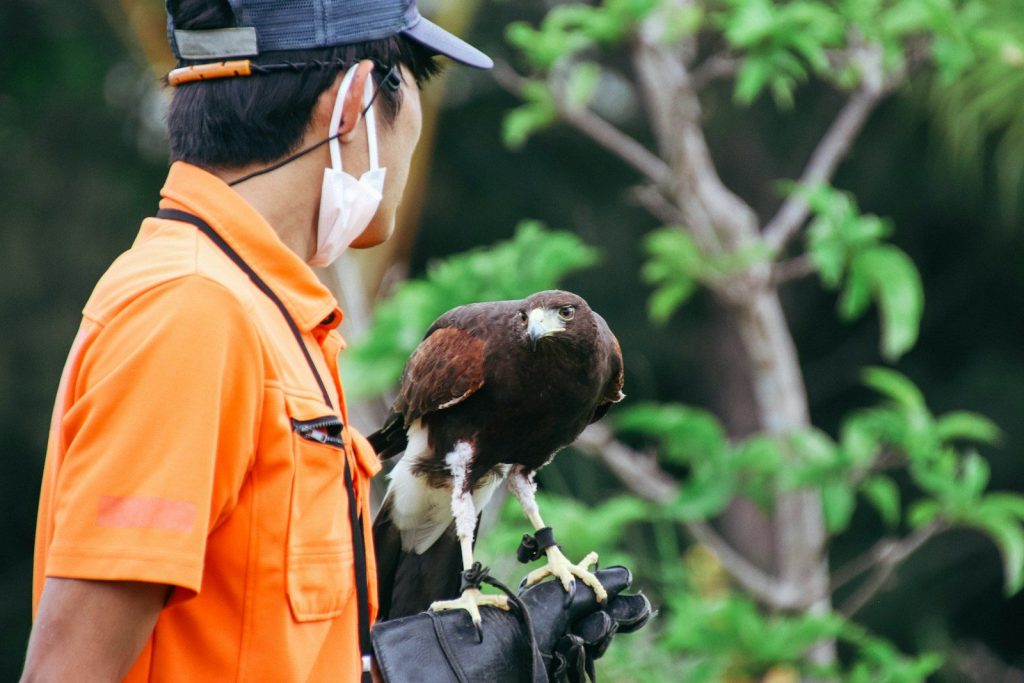 a man in an orange shirt is holding a bird