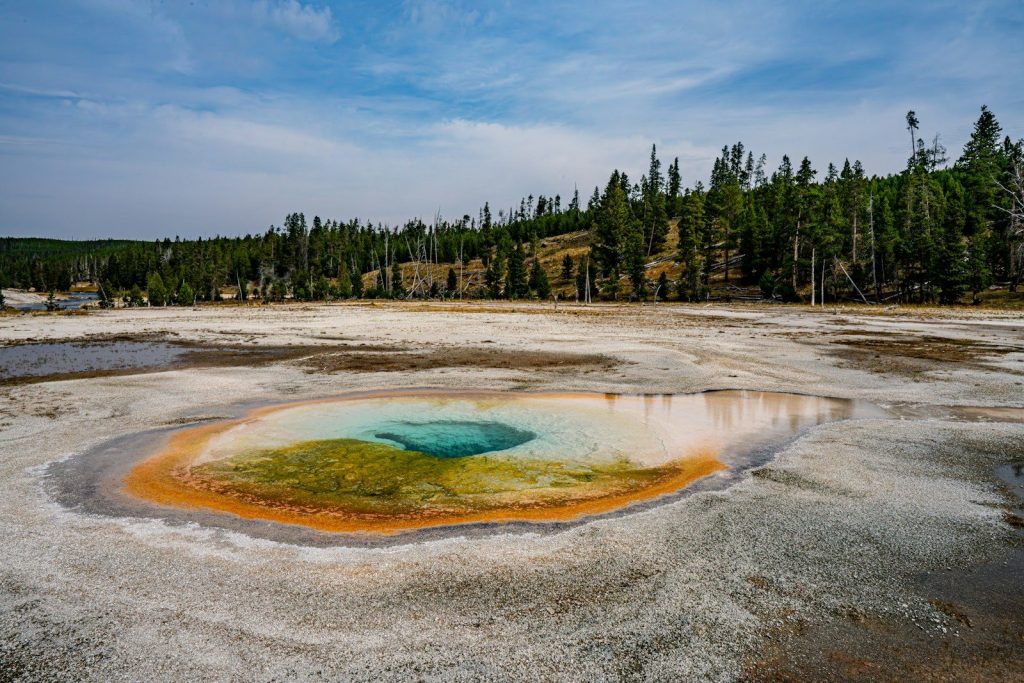 a large pool of water surrounded by trees