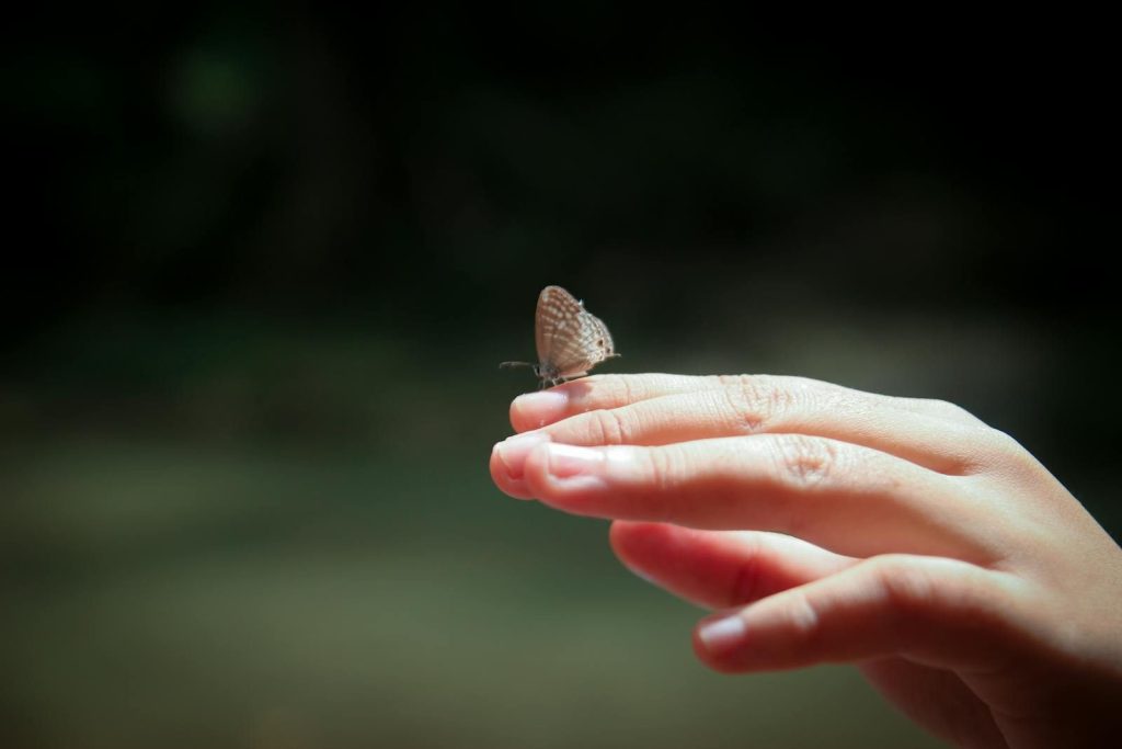 A close-up of a butterfly resting on a person's hand outdoors, showcasing nature's delicate beauty.