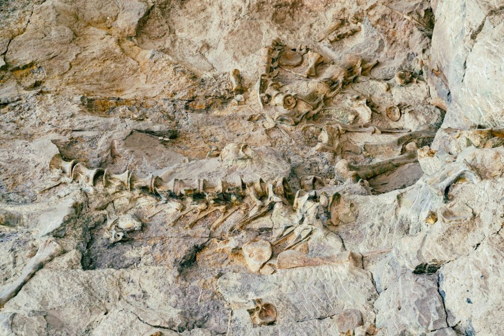 a close-up of some rocks