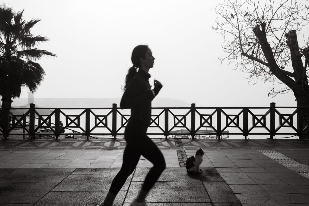 Black and white photo of a jogger on a foggy waterfront walkway with a cat nearby.