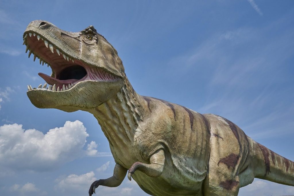 dinosaur, prehistoric, carnivores, primeval times, t-rex, tyrannosaurus rex, dino, carnivorous dinosaur, dangerous, replica, animal, nature, tyrannosaurus, old