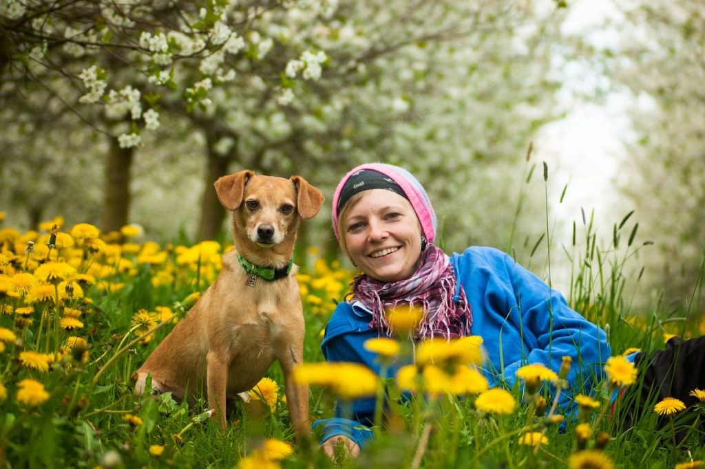 team, woman, dog, human, pet, portrait, animal, a dog-human team, teamwork, together