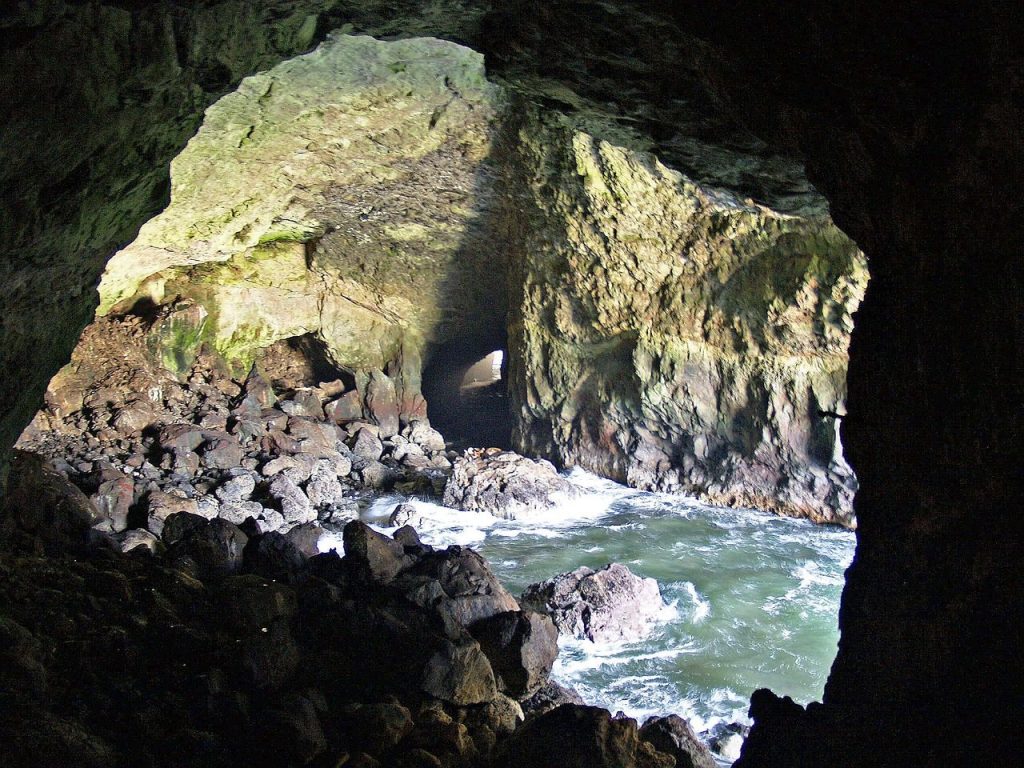 sea lion cave, rocks, pacific, cave, shoreline, oregon, usa, nature, scenery, tourist, attraction, cave, cave, cave, cave, cave, oregon
