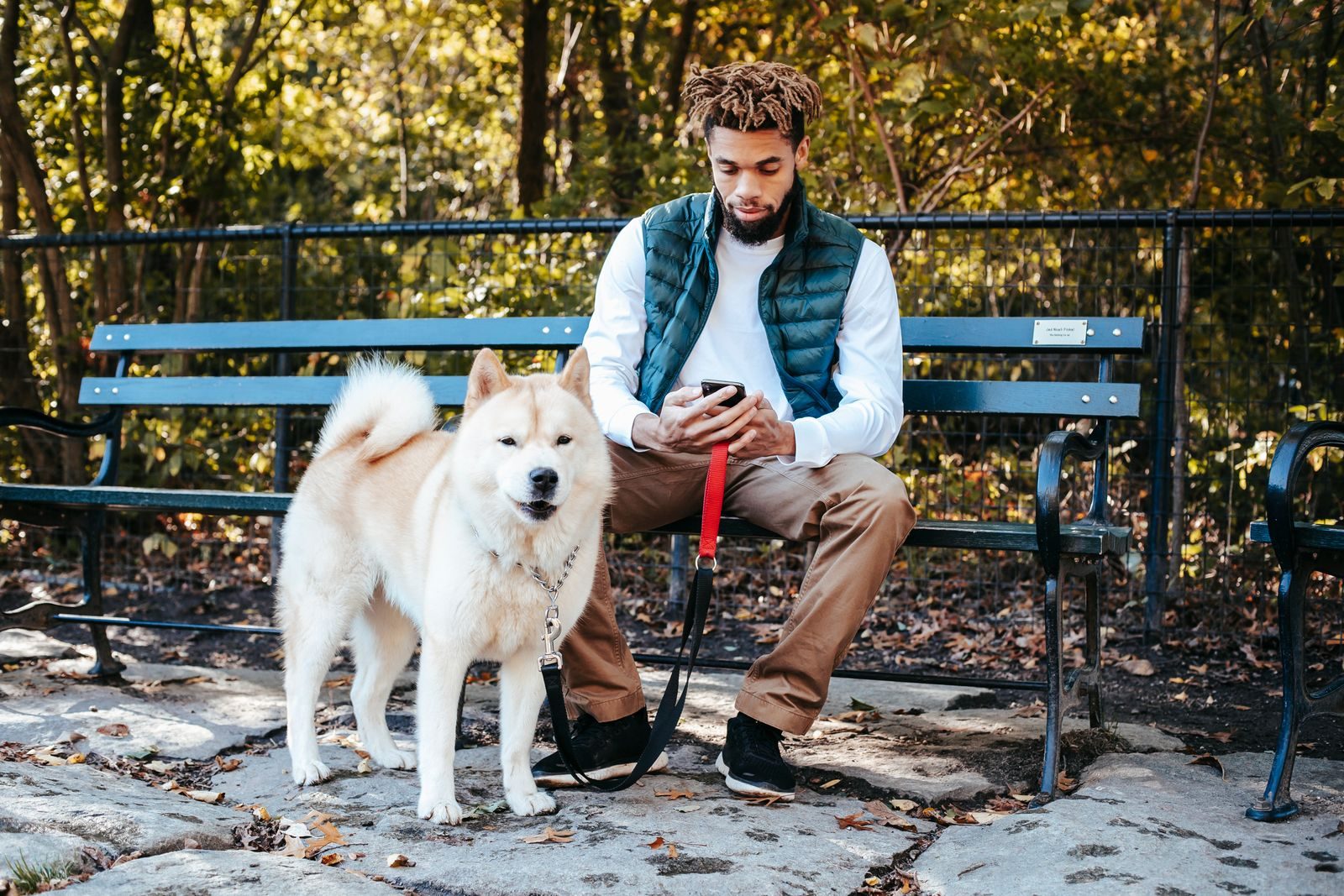 Full body of trendy young African American male with beard and dreadlocks in stylish outfit sitting on bench and using mobile phone while resting in park with cute Akita dog