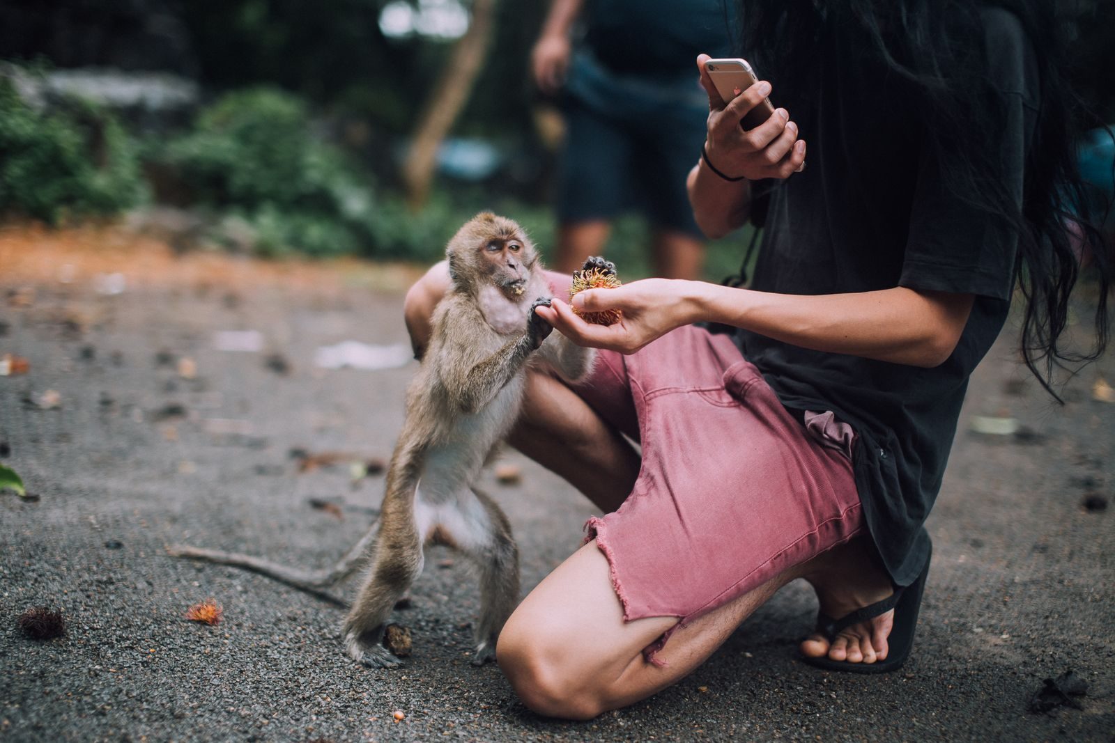 A person feeding a monkey while holding a smartphone outdoors.