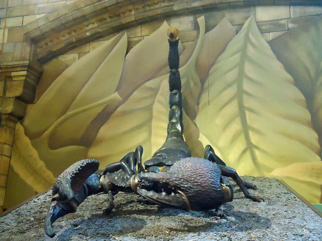 Giant 3.2-Foot Scorpion Once Roamed Ancient Britain, Scientists Discover