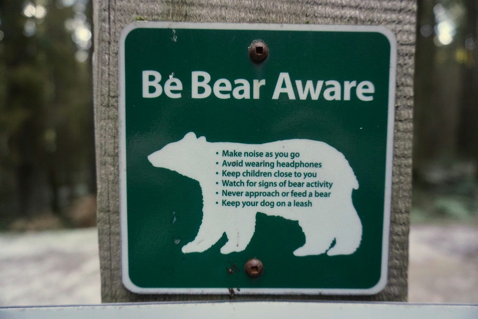 Black Bear Attacks and Stalks Hiker for 30 Minutes in Unusual Colorado Encounter