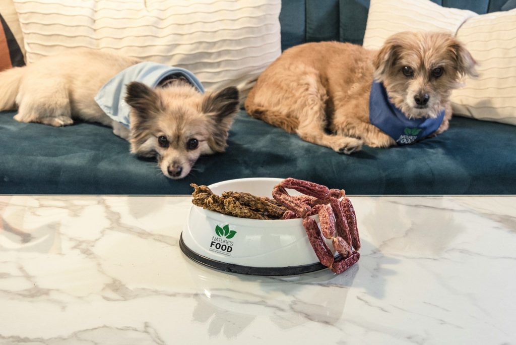 a couple of dogs lying on a bed with a cake in front of them