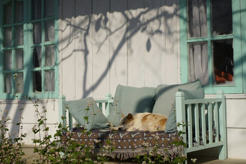 A dog naps on a porch bench in sunlight.