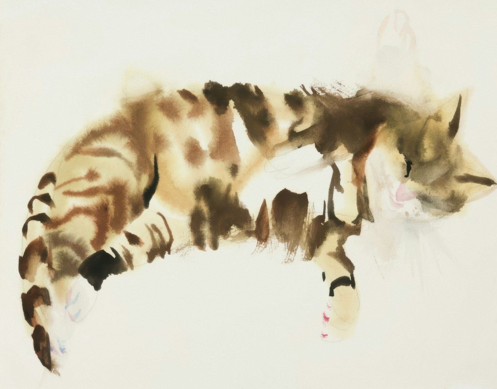 A tabby cat with brown and black stripes rests.