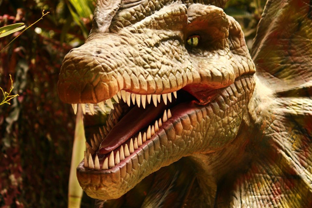 A close up of a dinosaur with its mouth open