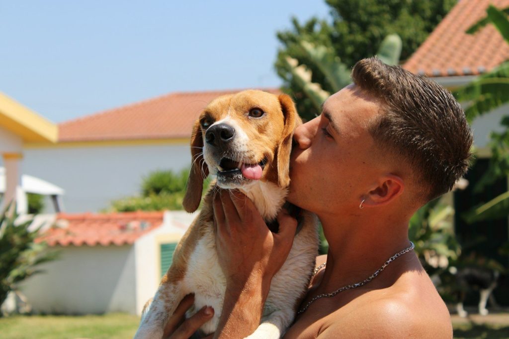 A man holding a brown and white dog in his arms