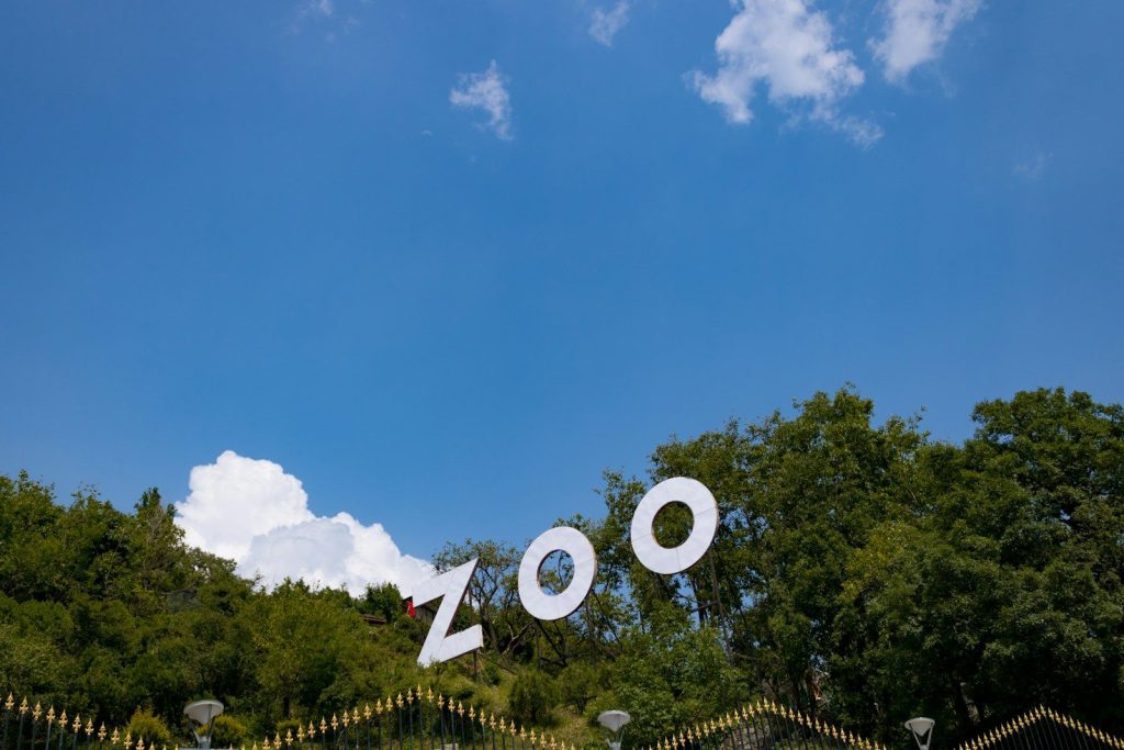zoo freestanding letter surrounded by trees