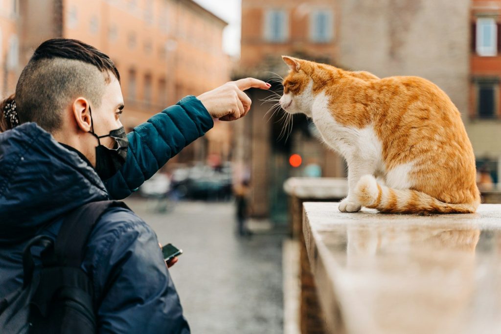 man in black jacket holding orange and white cat