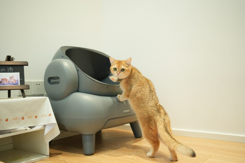 A cat standing on its hind legs in front of a TV