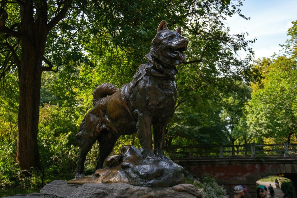 A statue of hachiko stands proudly.