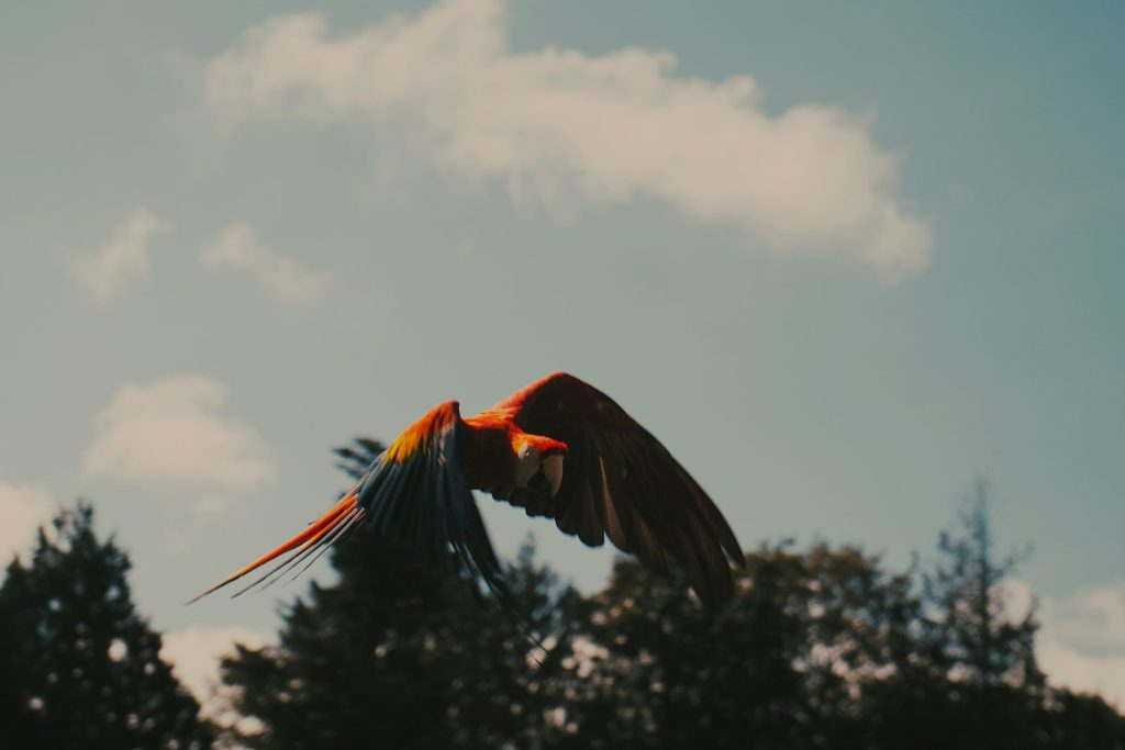a large bird flying through a cloudy blue sky