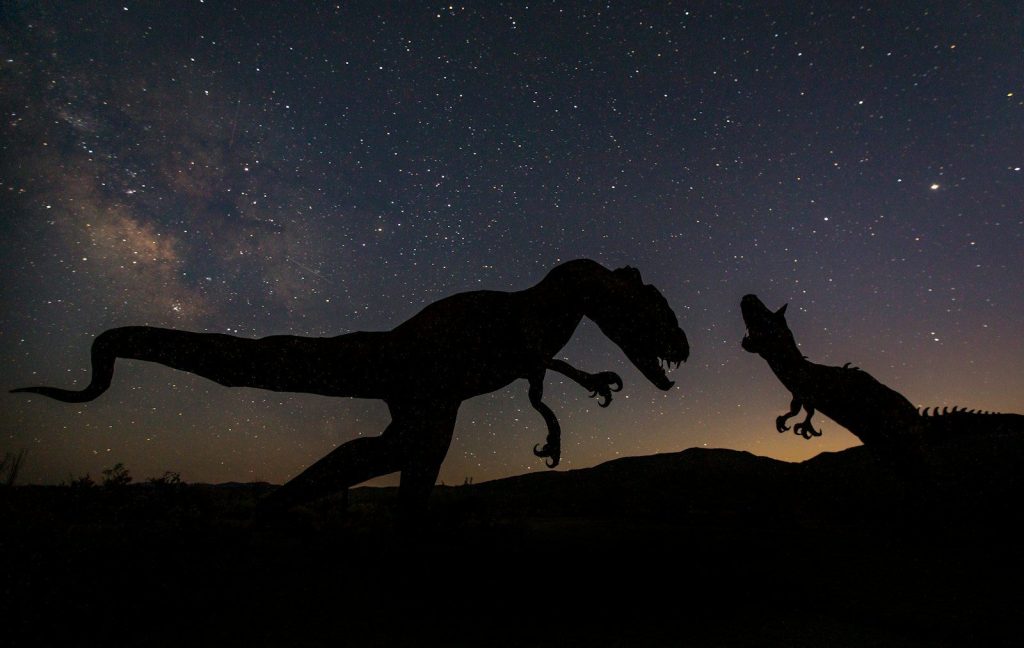 silhouette of 2 horse under starry night