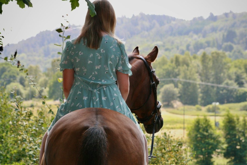 a young girl riding on the back of a brown horse