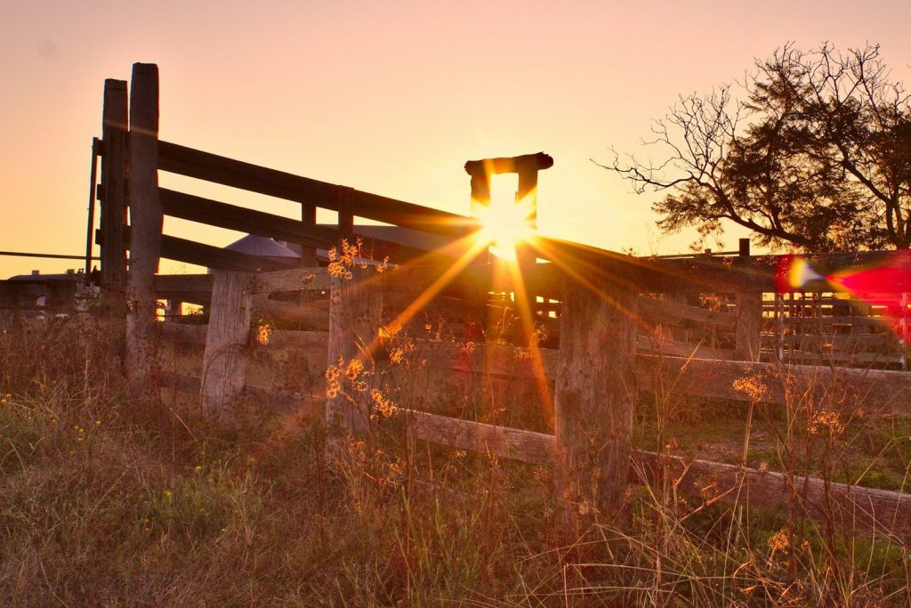brown wooden fence on green grass field during sunset