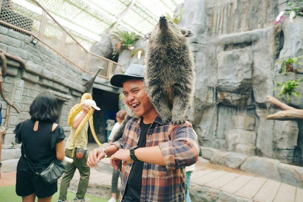 Man with raccoon on his shoulders at indoor zoo exhibit