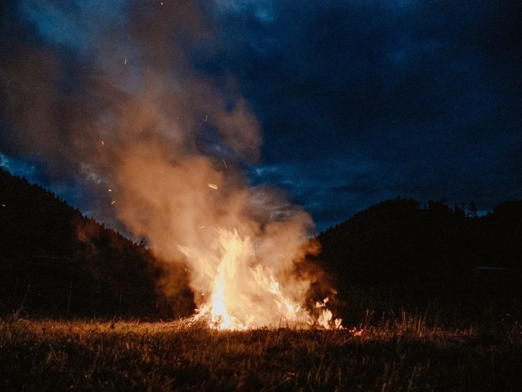 brown grass in fire