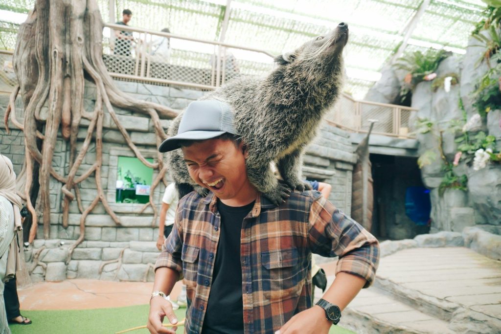 Man with binturong on his shoulders
