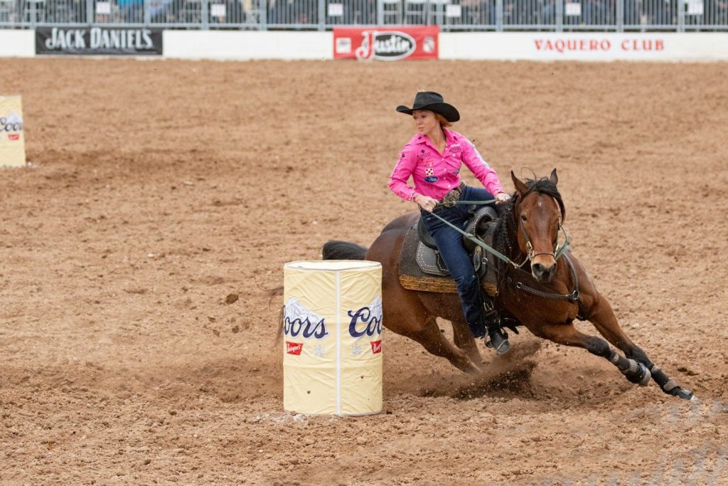 woman in pink shirt riding brown horse during daytime