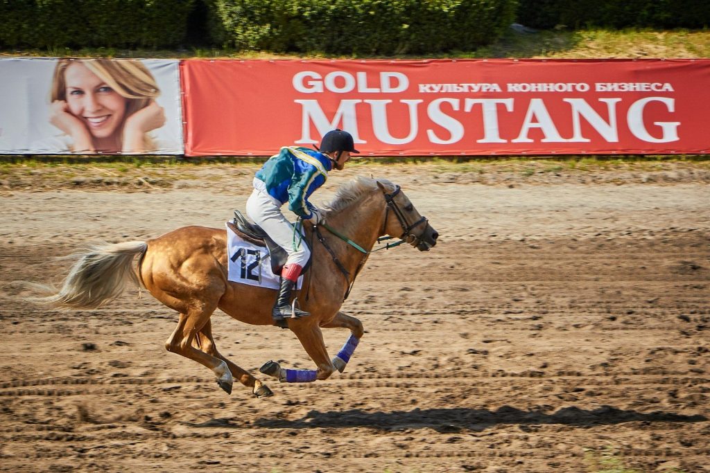 man riding on horse