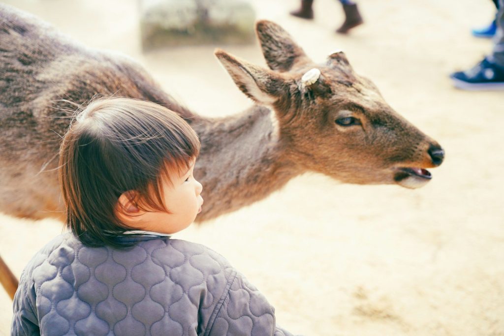 A little girl standing next to a deer