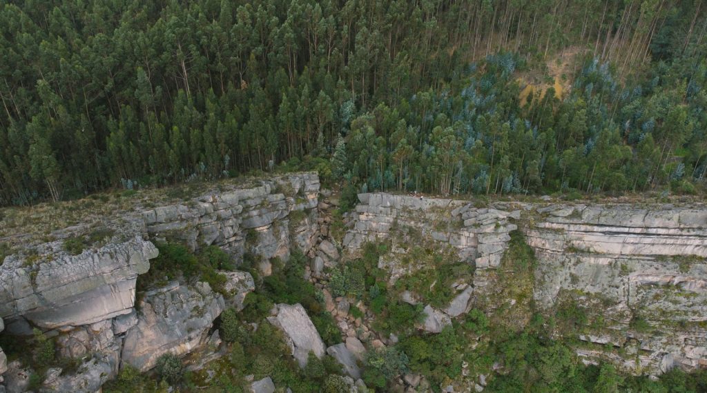 A stunning aerial shot of a cliff and dense forest in Colombia, showcasing nature's beauty.