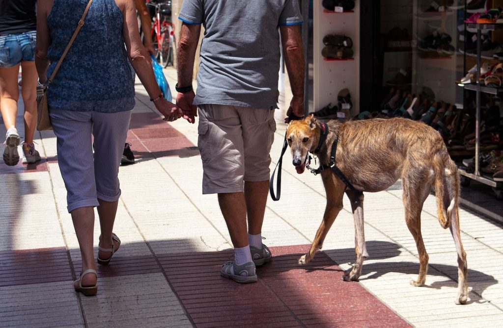 An elderly couple holding hands and walking their dog on a sunny street in Calella, Spain.